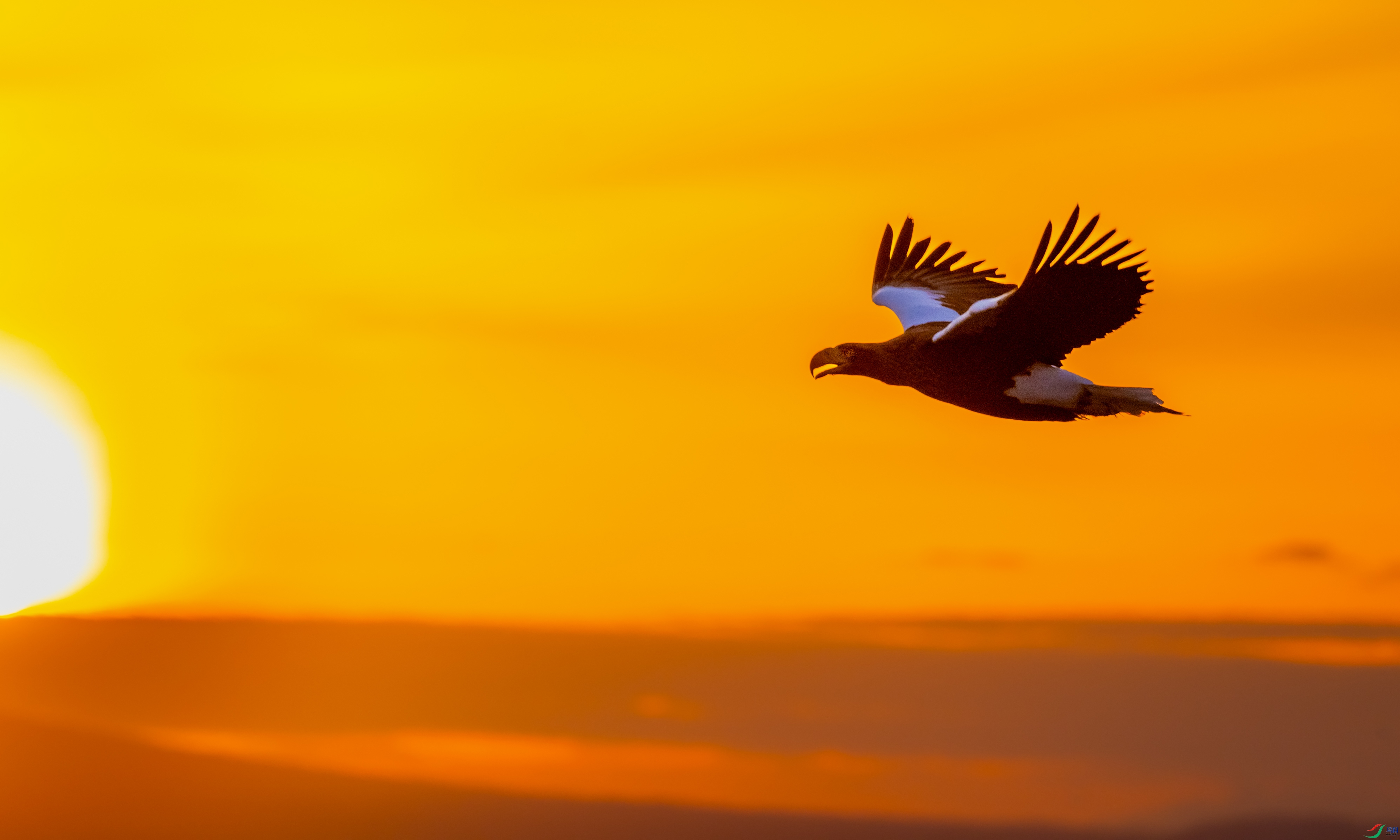_DSC5729_1.jpg