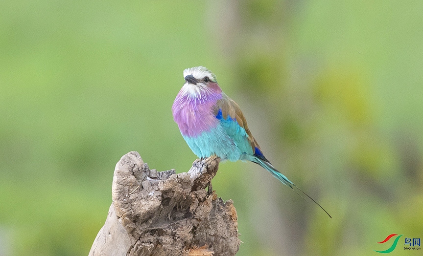 ���ط�ɮ (6).jpg