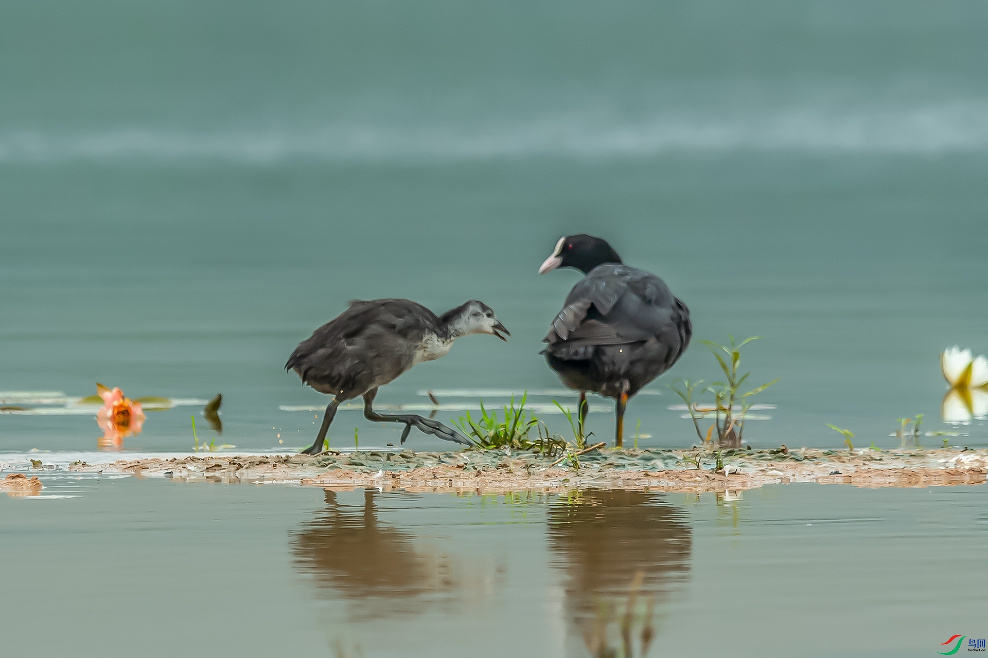 DSC_0252.jpg
