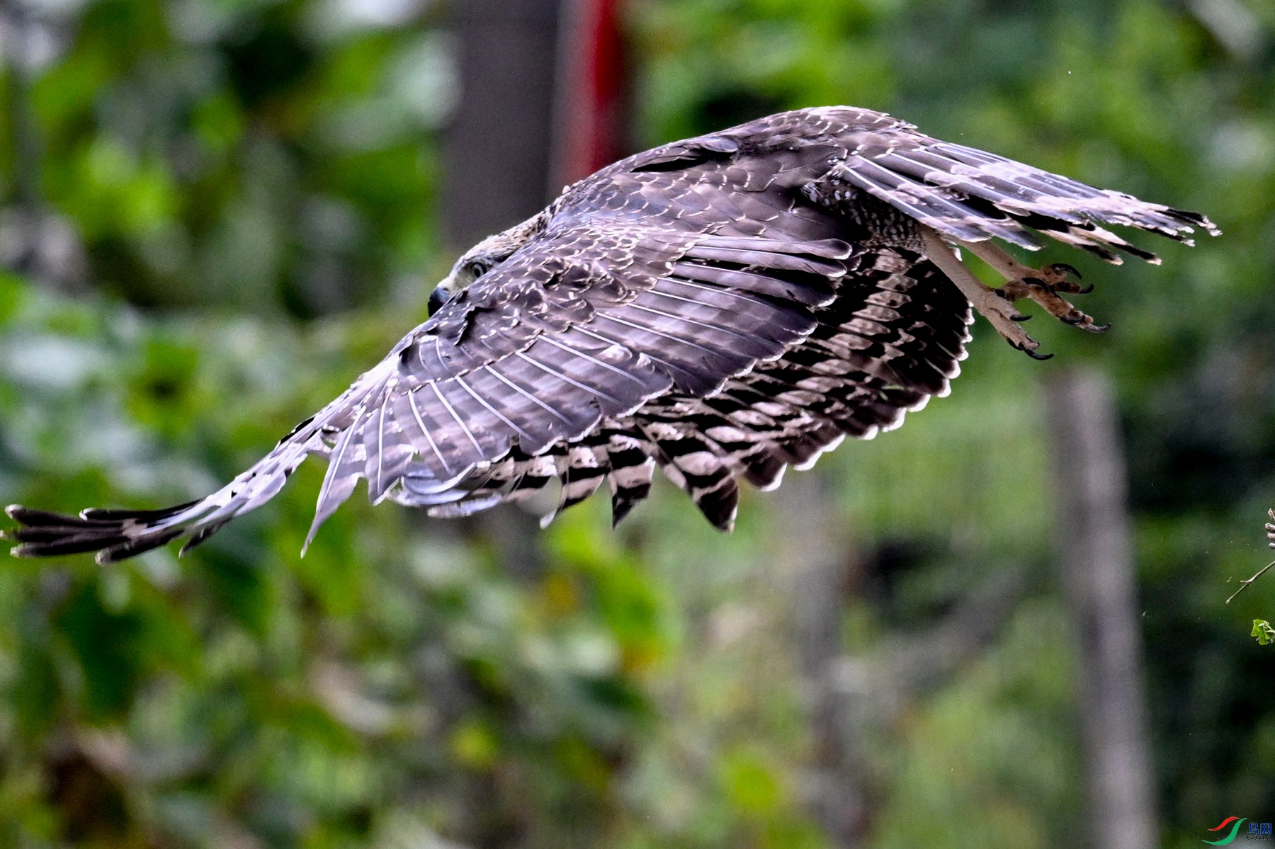 DSC_2742.JPG