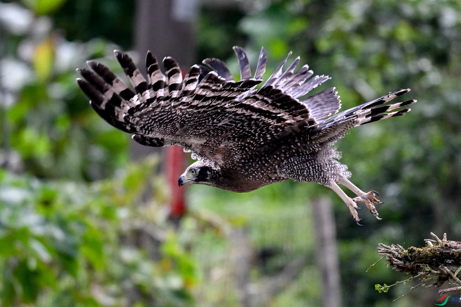 DSC_2741.JPG