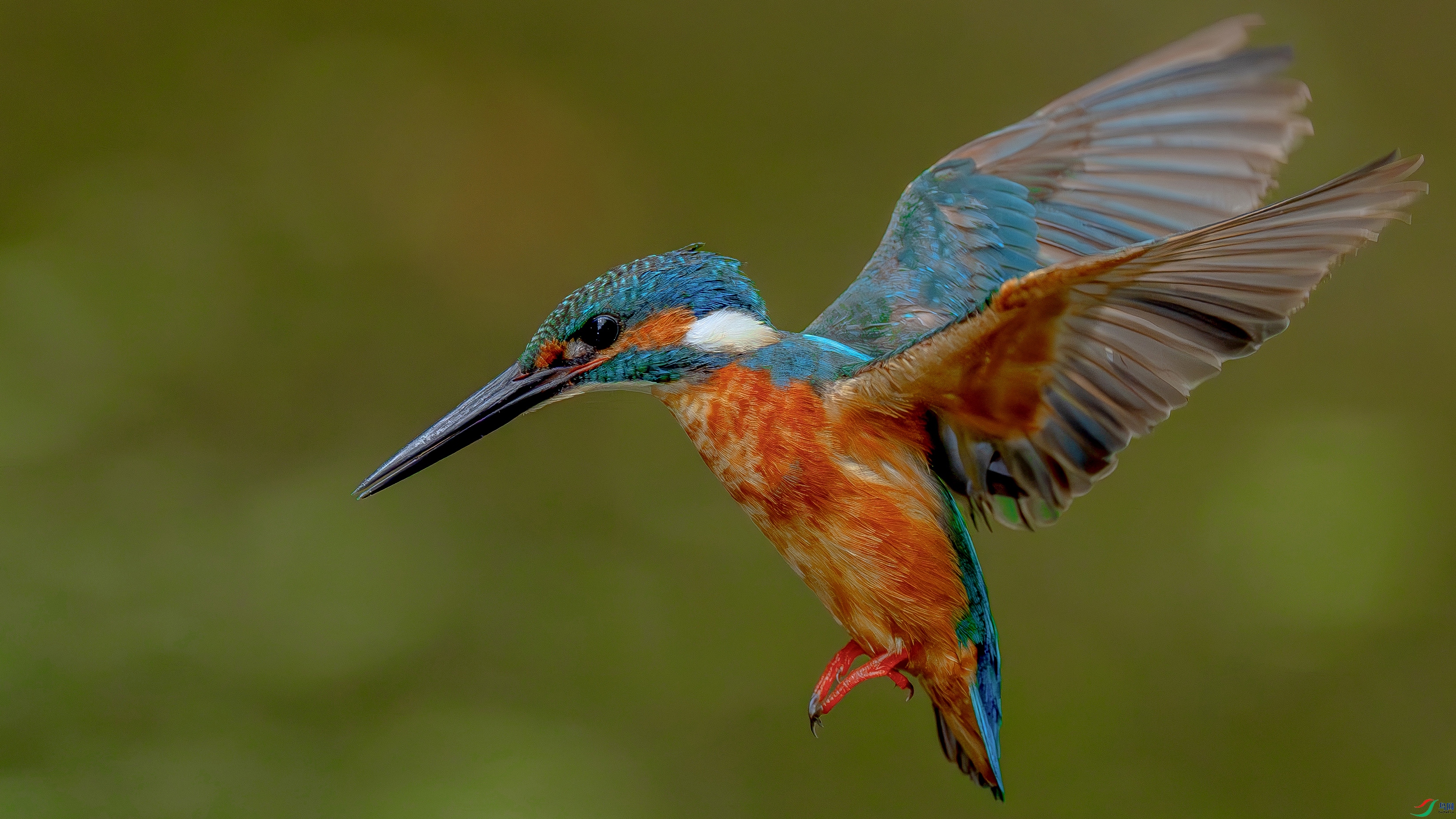 008 ��������.jpg