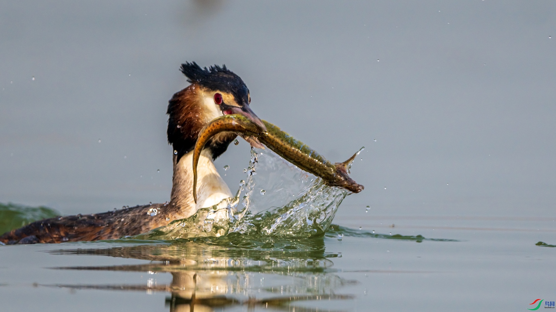 1_XXI2592 ����.jpeg