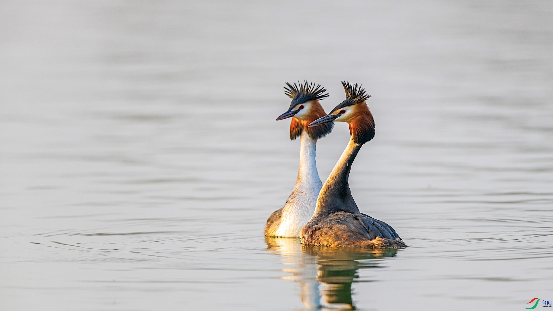 1_XXI3688 ����.jpeg