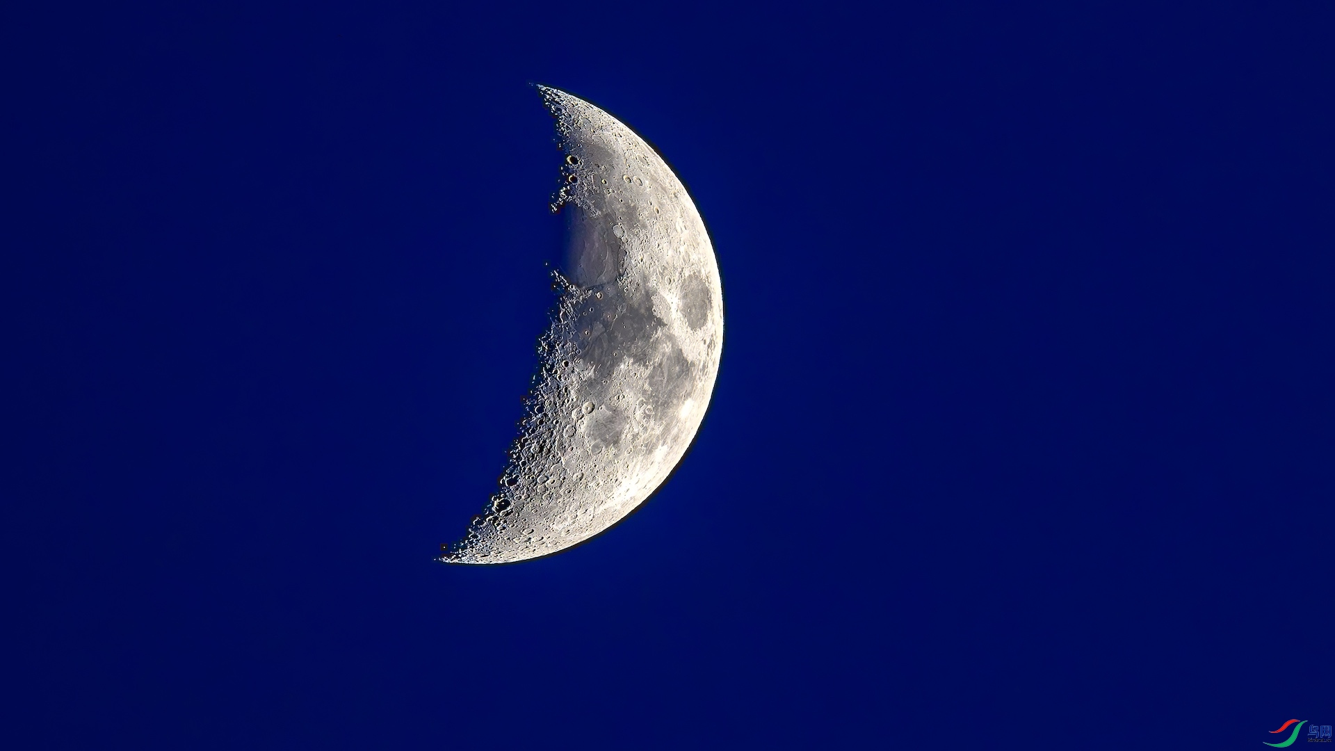 1_XXL0433-����ǿ-NR-1 2.jpeg