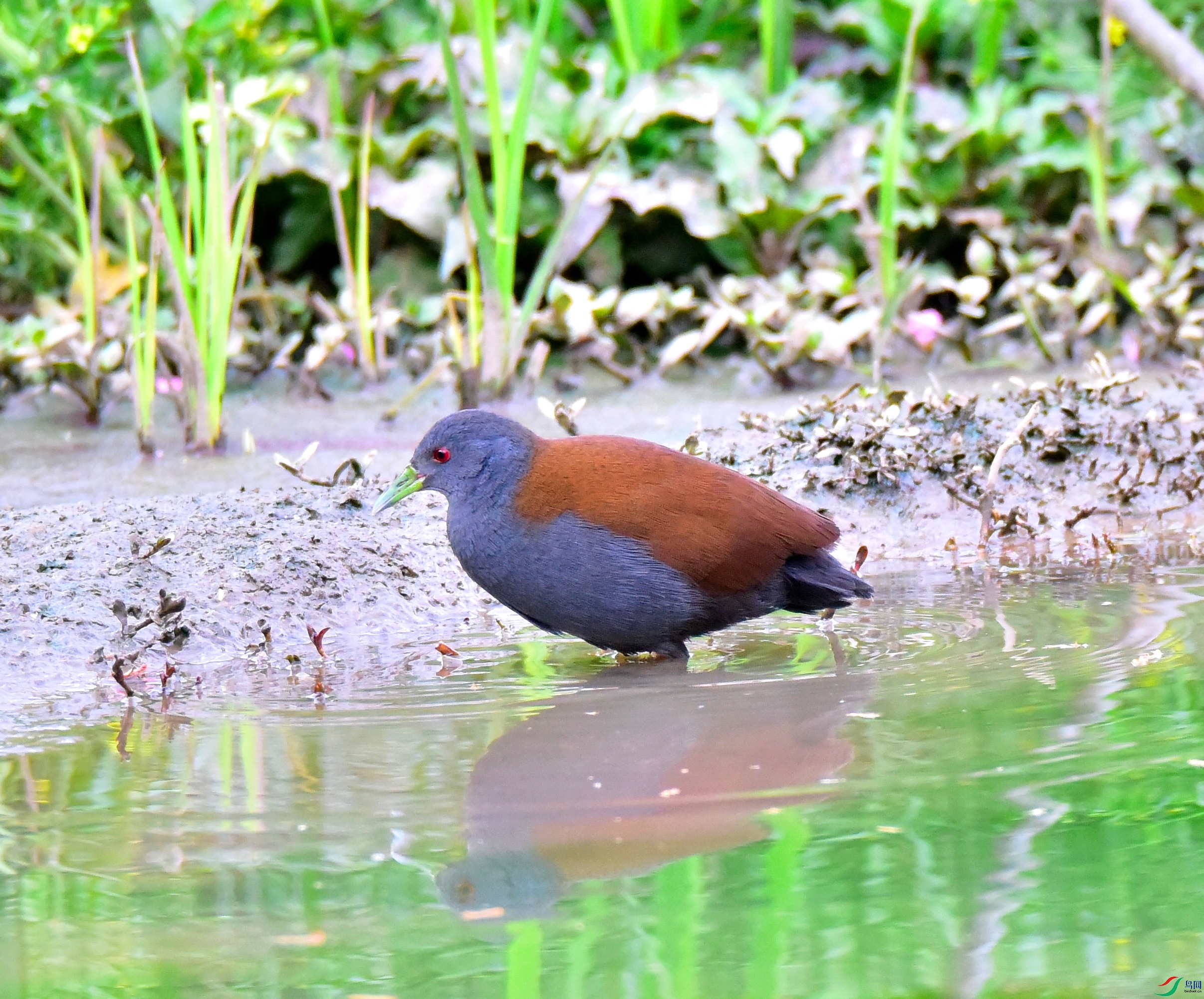 DSC_4644.JPG