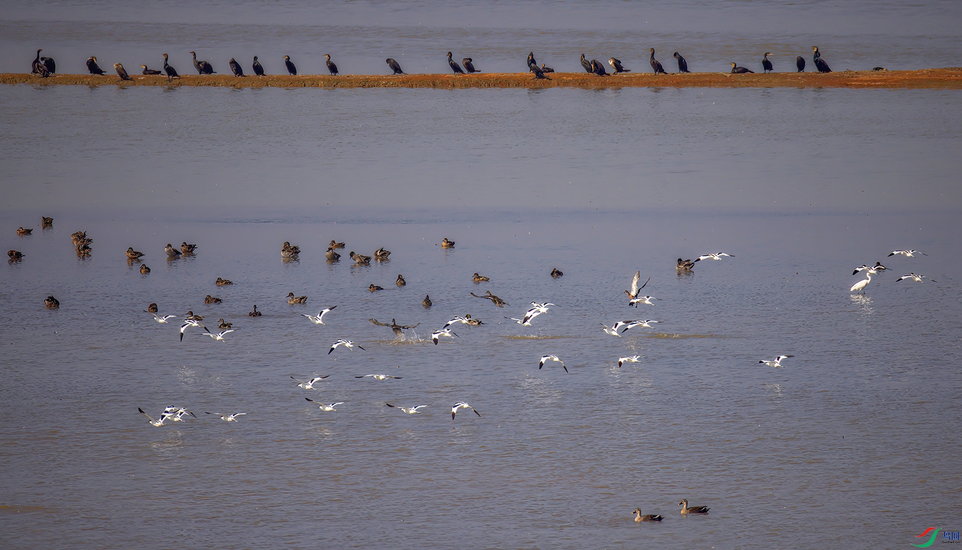 407A0151-Sh----1 ����  .jpg