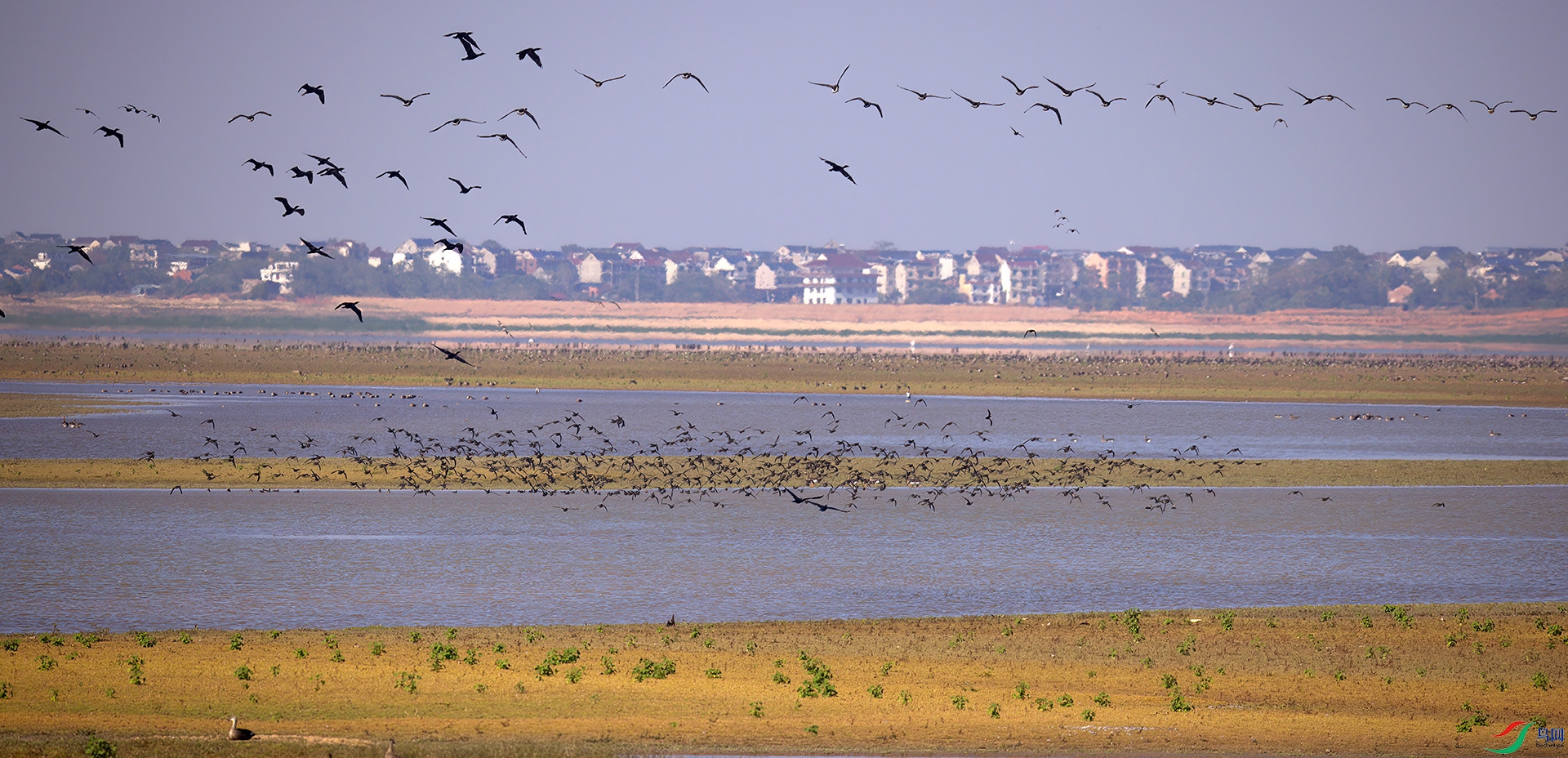 407A0727-Sh----1  .jpg