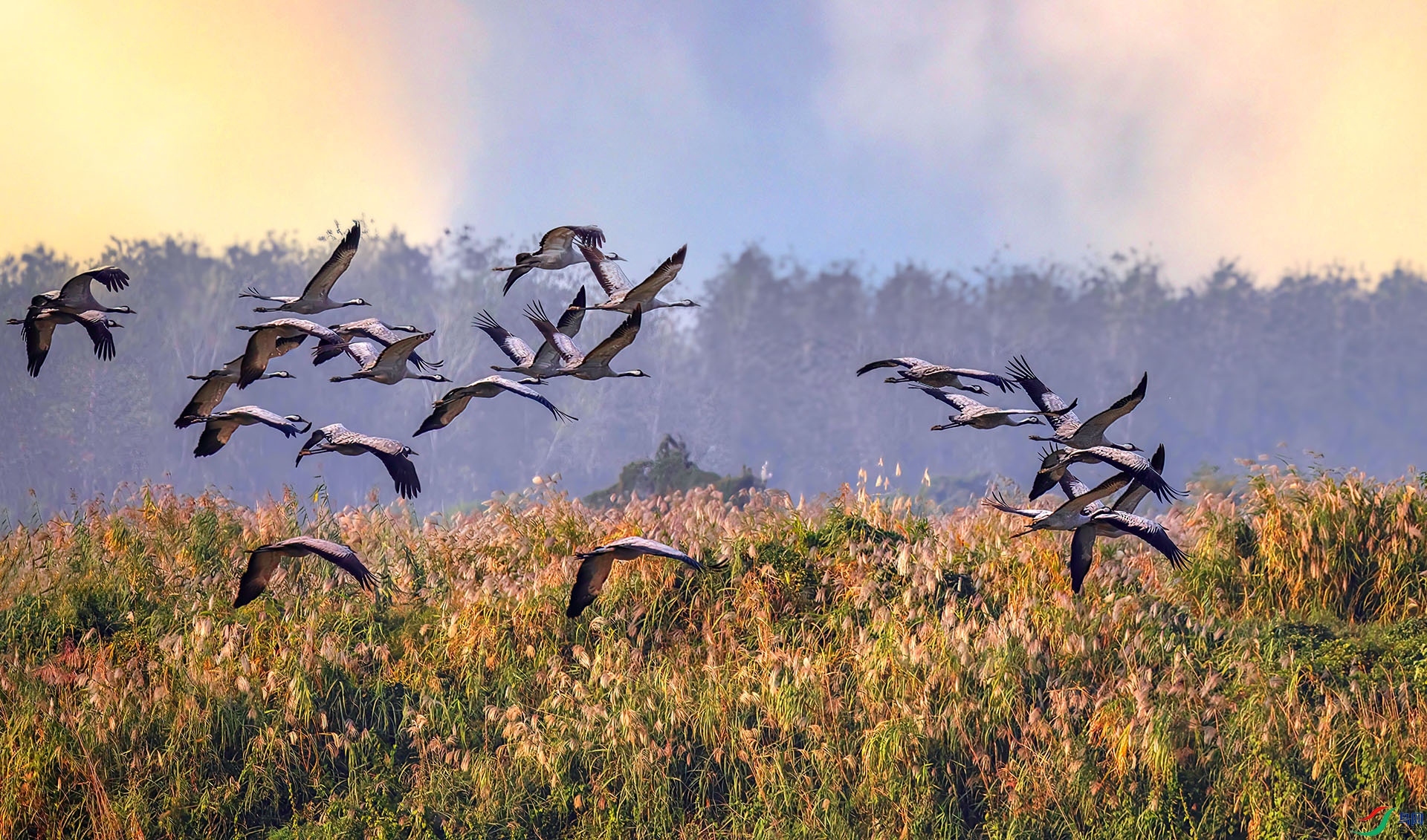 407A6880 ����-Sh-----11  .jpg