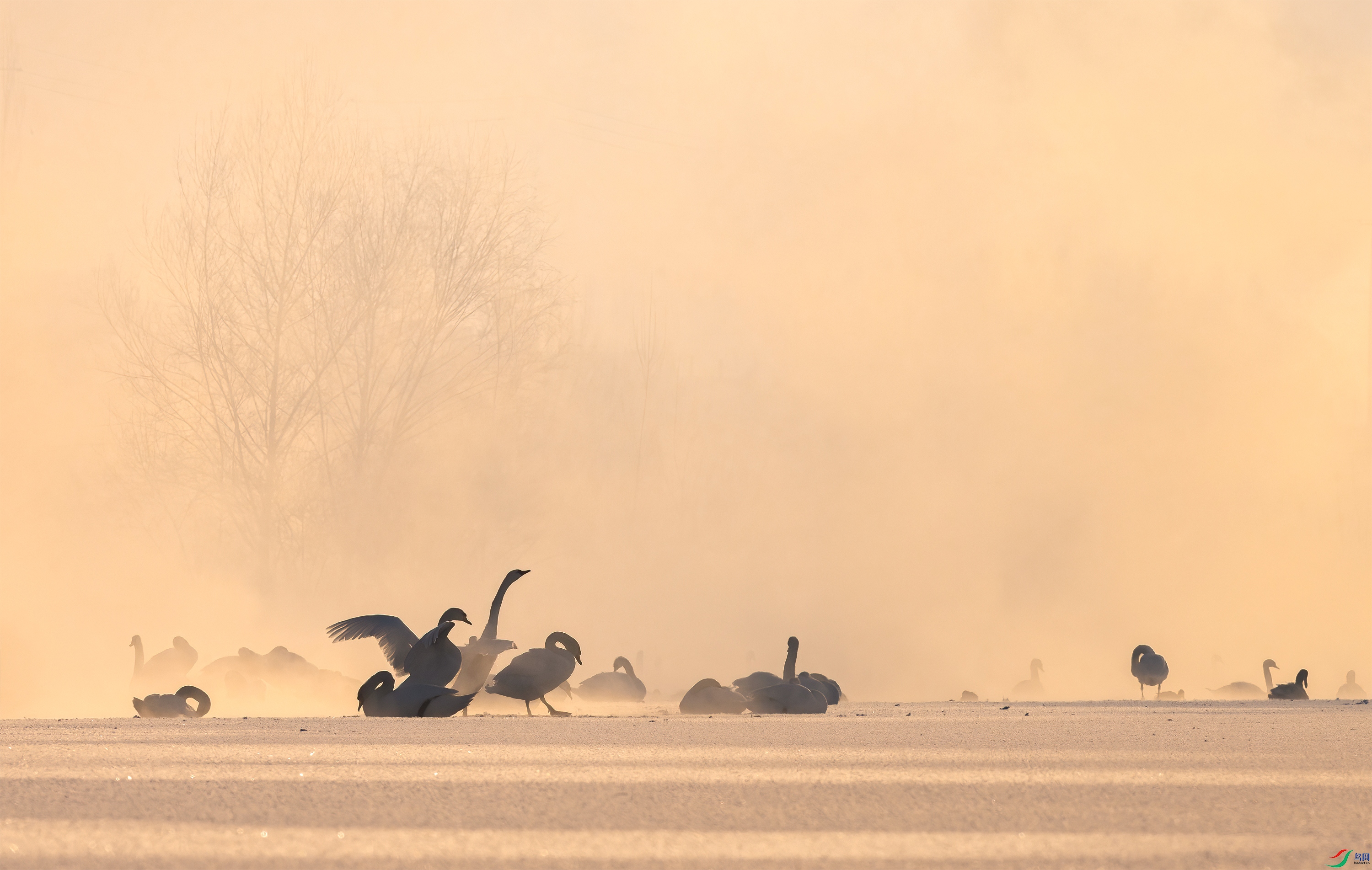DSC_8335-2.jpg