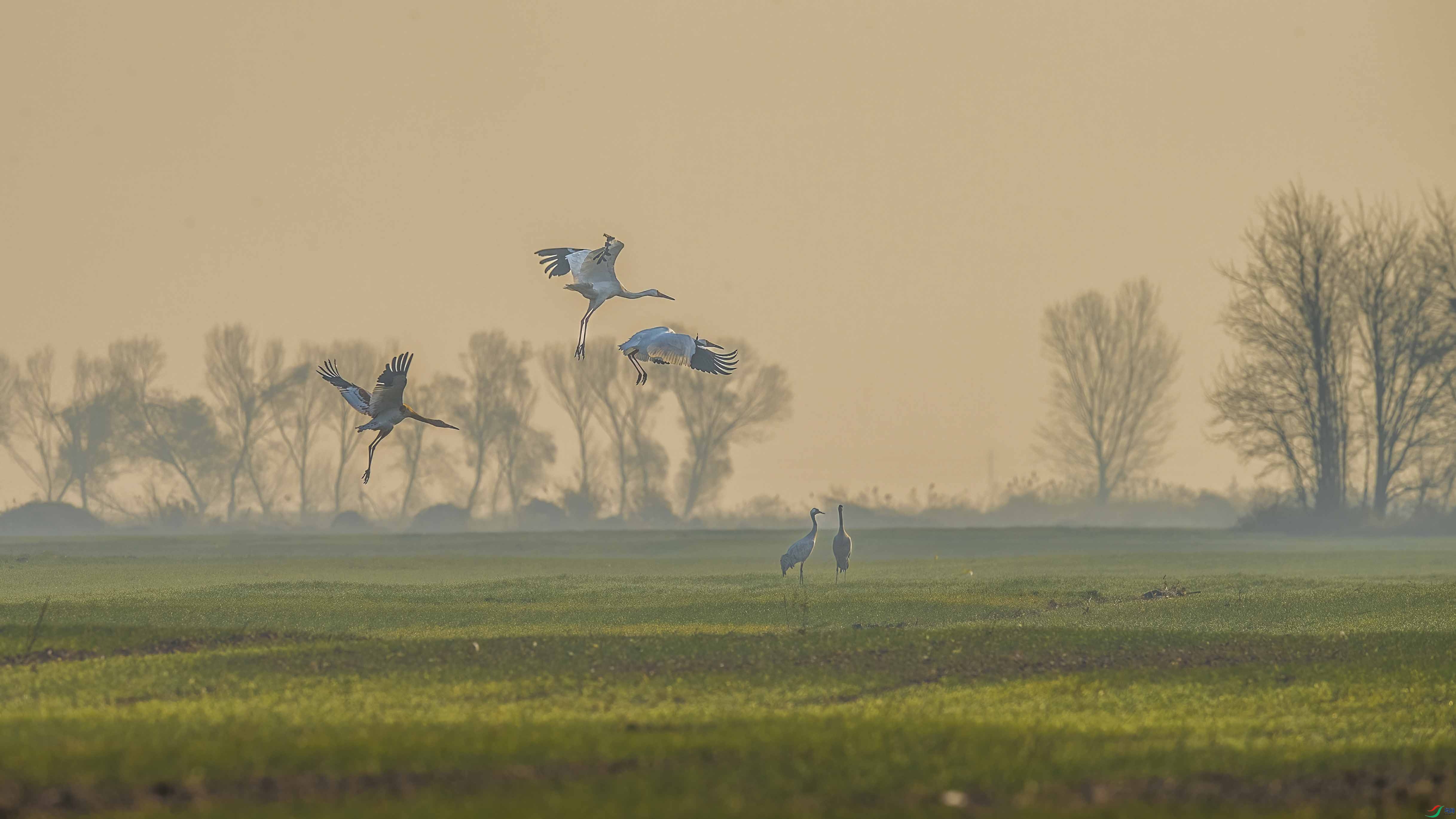 DSC_8091 ����-b.jpg