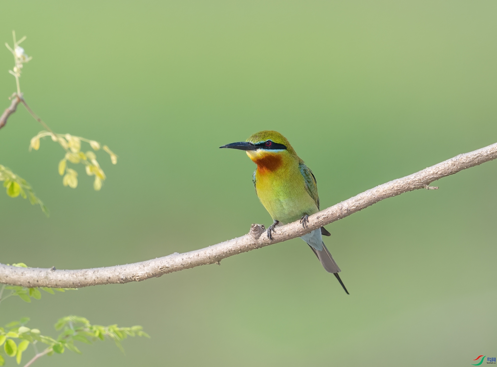 DSC_7228-1.jpg