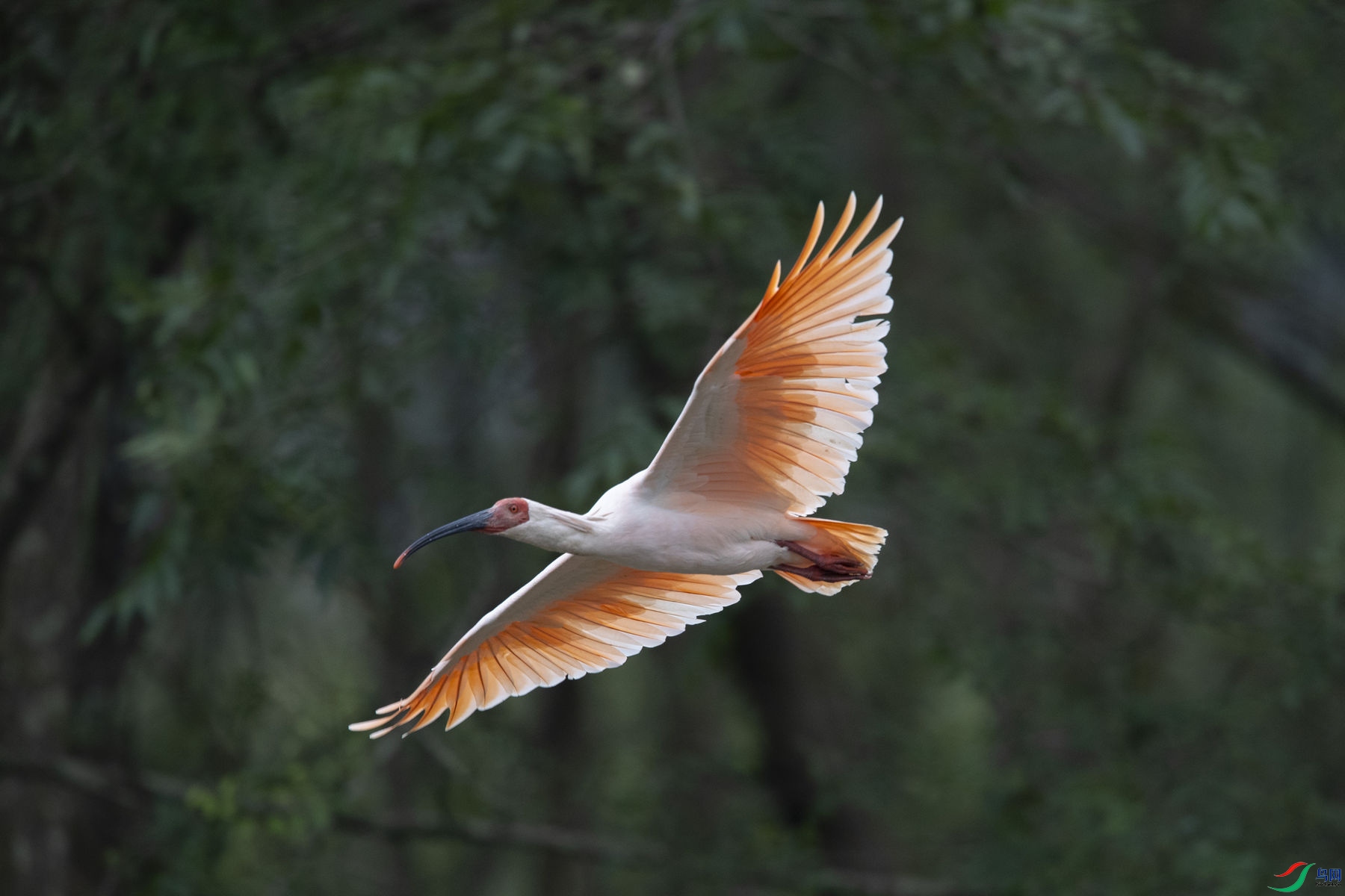 ���q