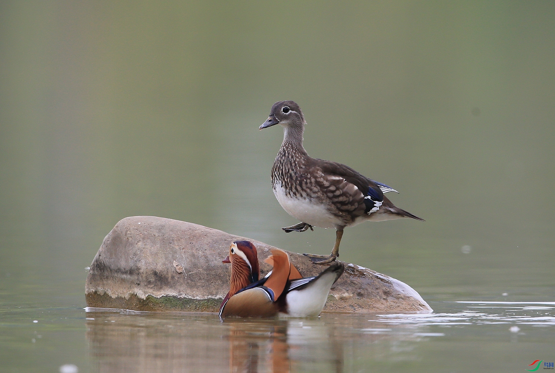 ����IMGL8043ʮ��  ԧ��.JPG