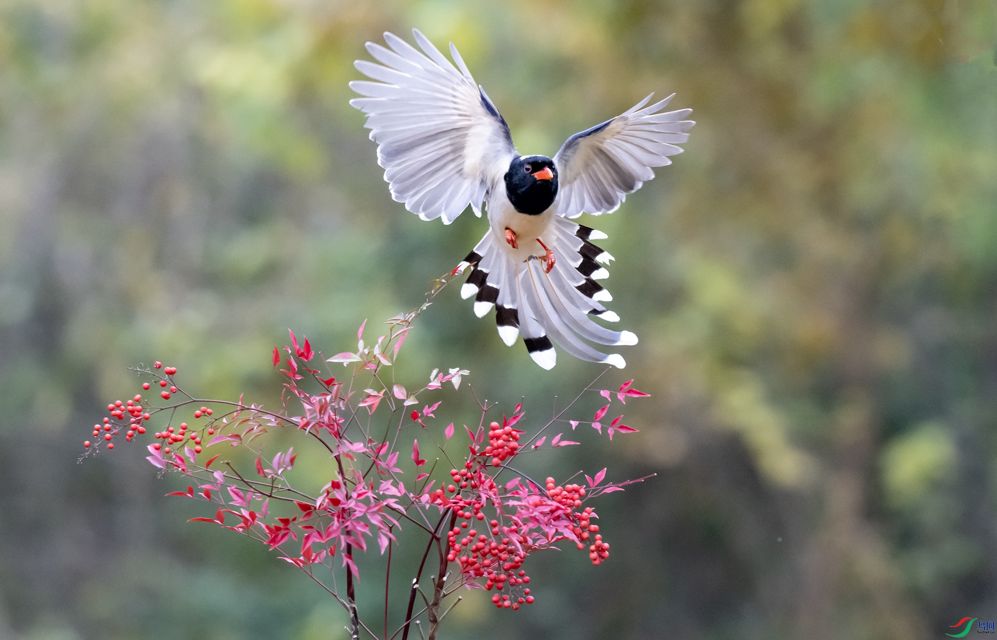 LJH_8693-1.jpg