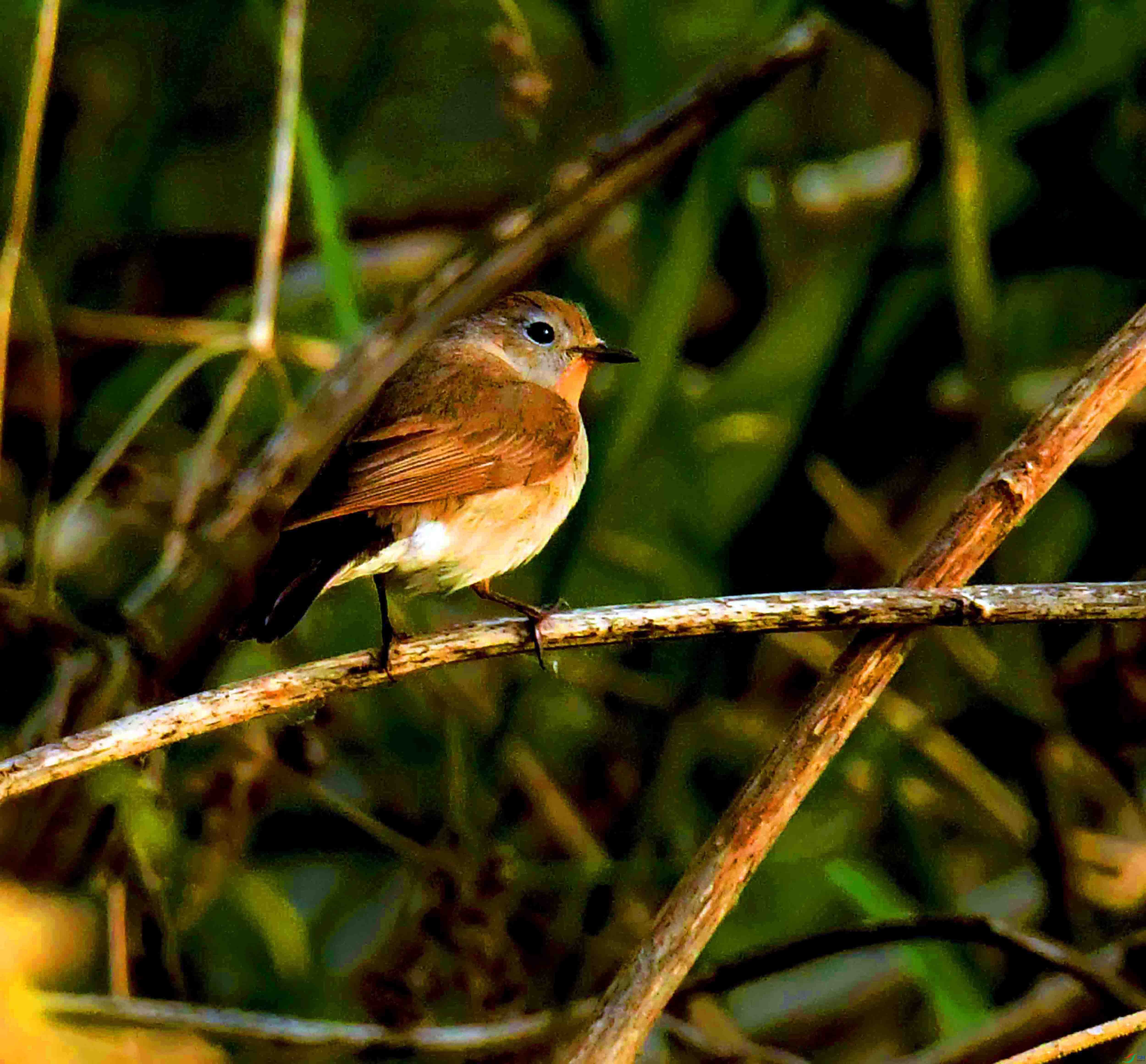 DSC_5846.JPG