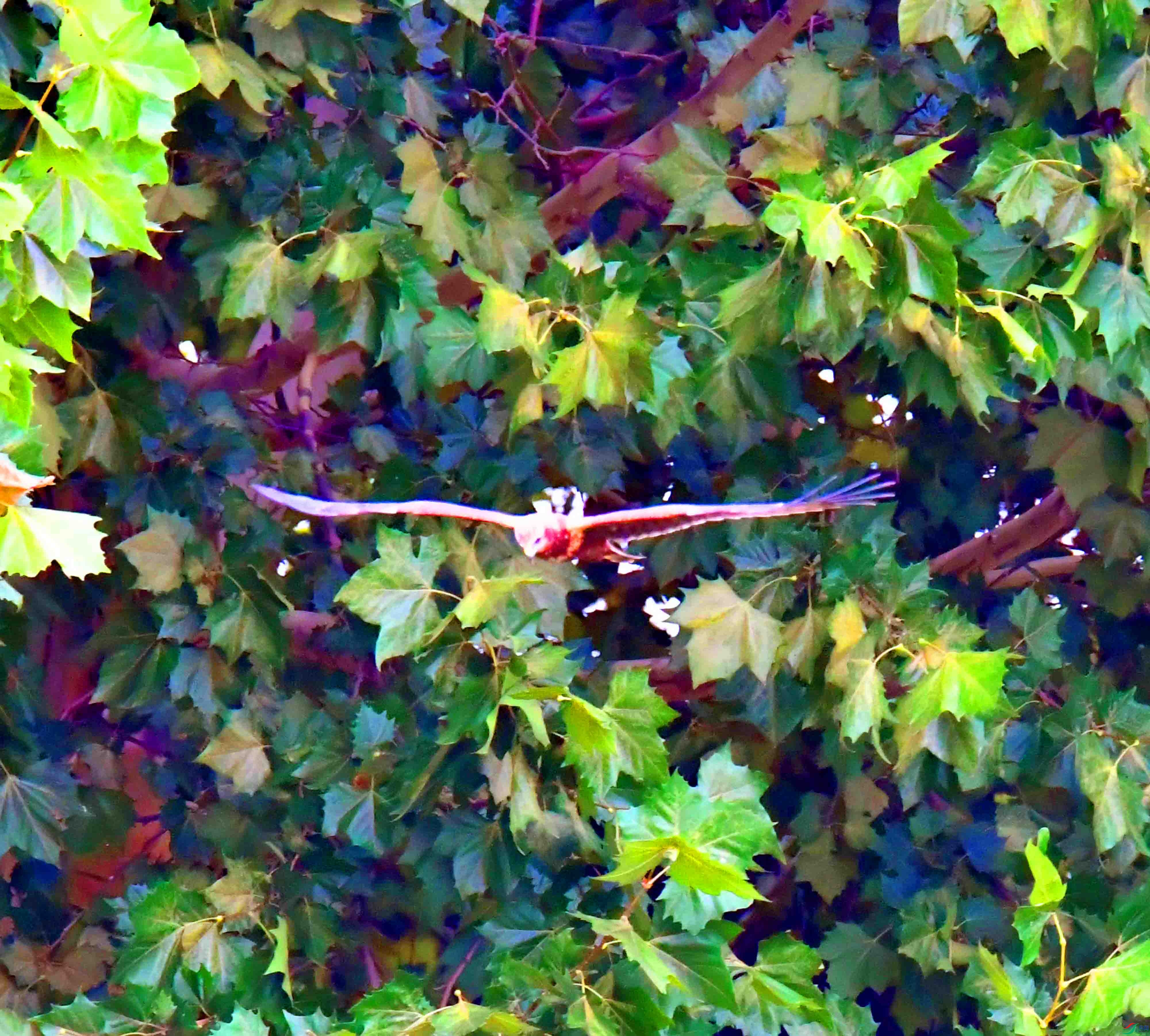 DSC_7772.JPG