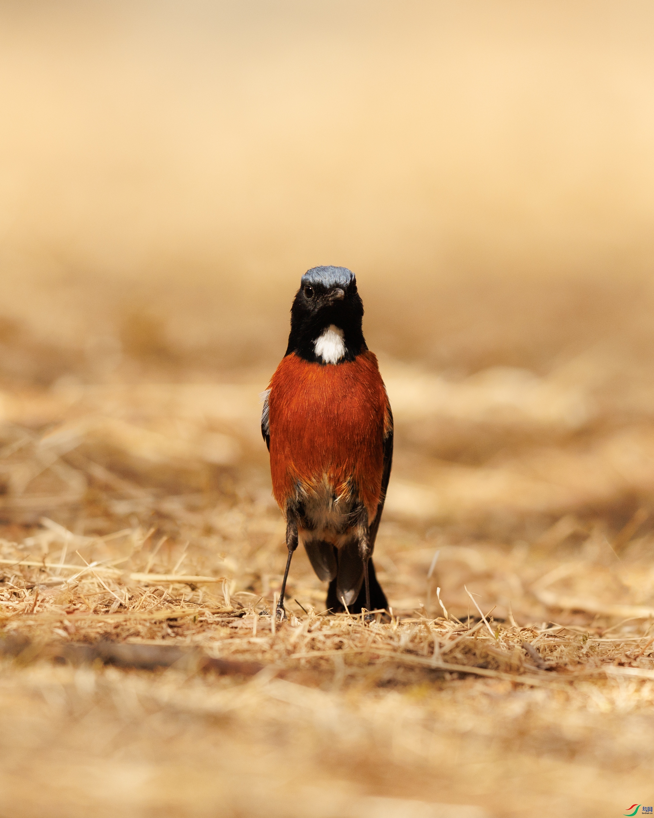 7X5A2616 ����.jpg