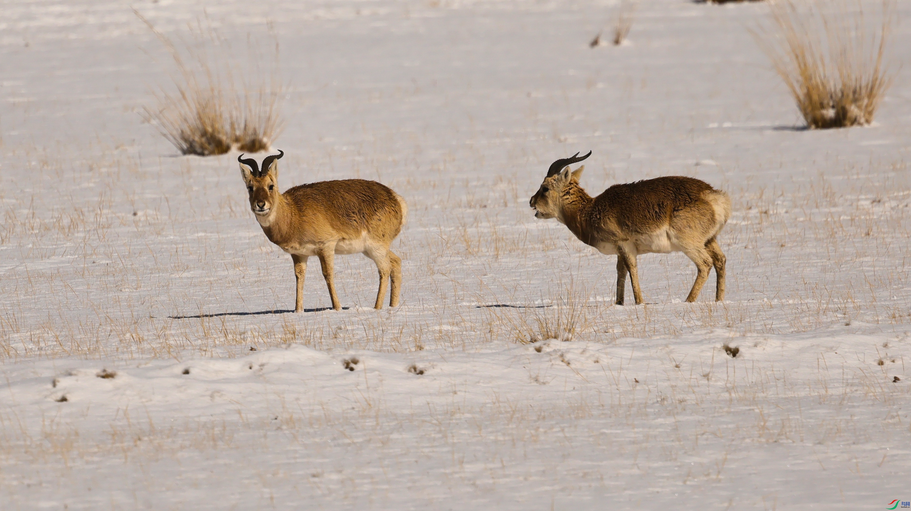 7X5A9970 ����4444.jpg