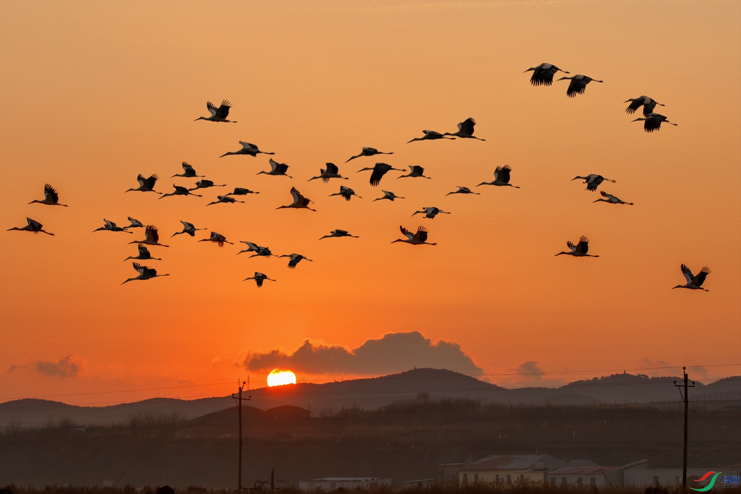 1N5A2632-����ǿ-NR ����_1.jpg