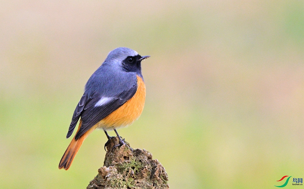 DSC_6834.JPG