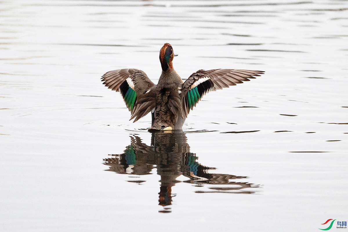 DSC_1313---.jpg