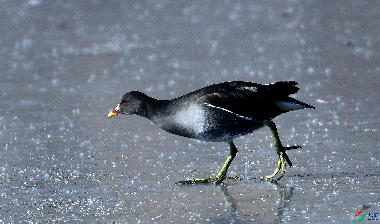 ABW_9013.jpg