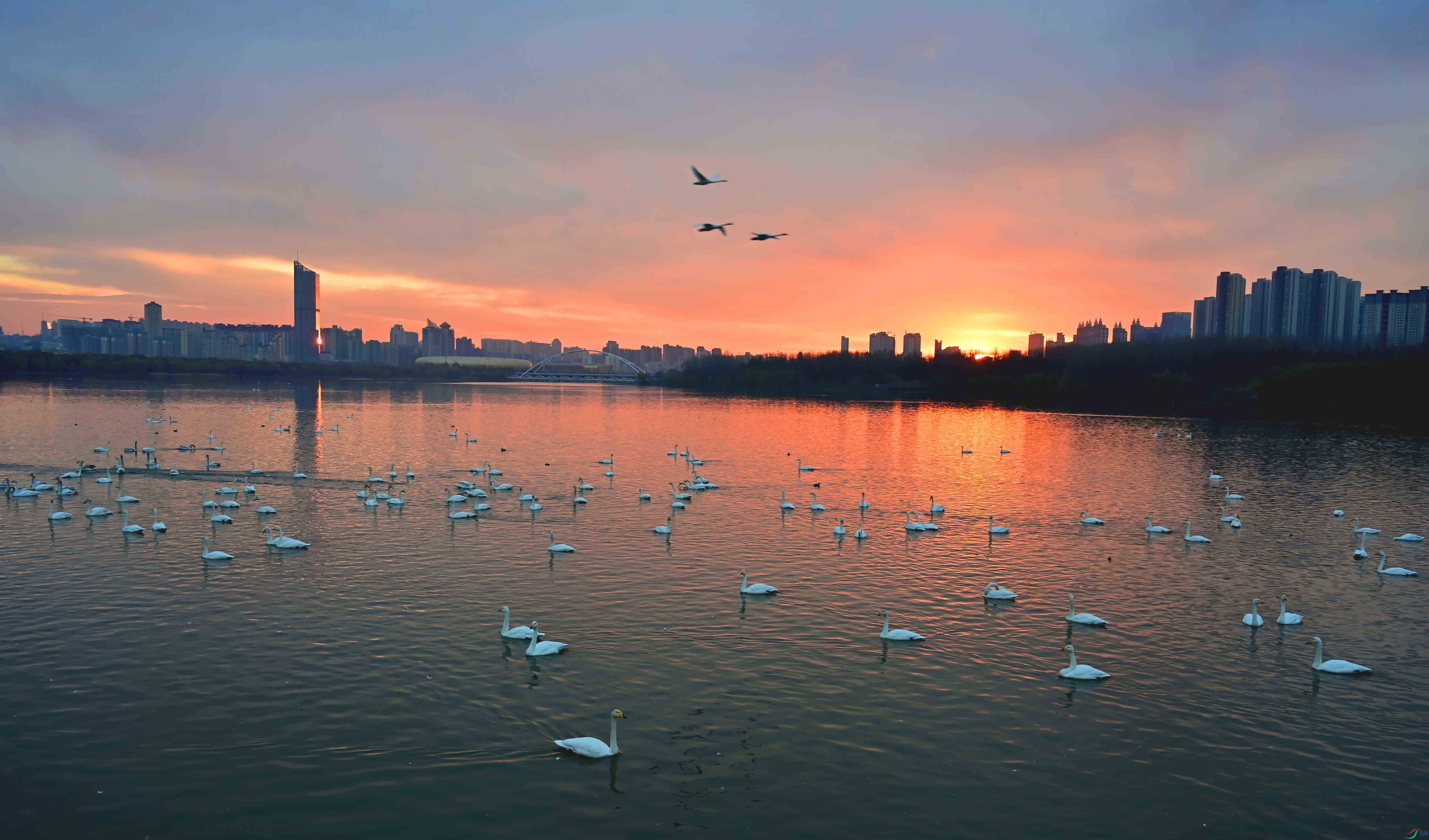 RGB_2534 ���� 2.jpg