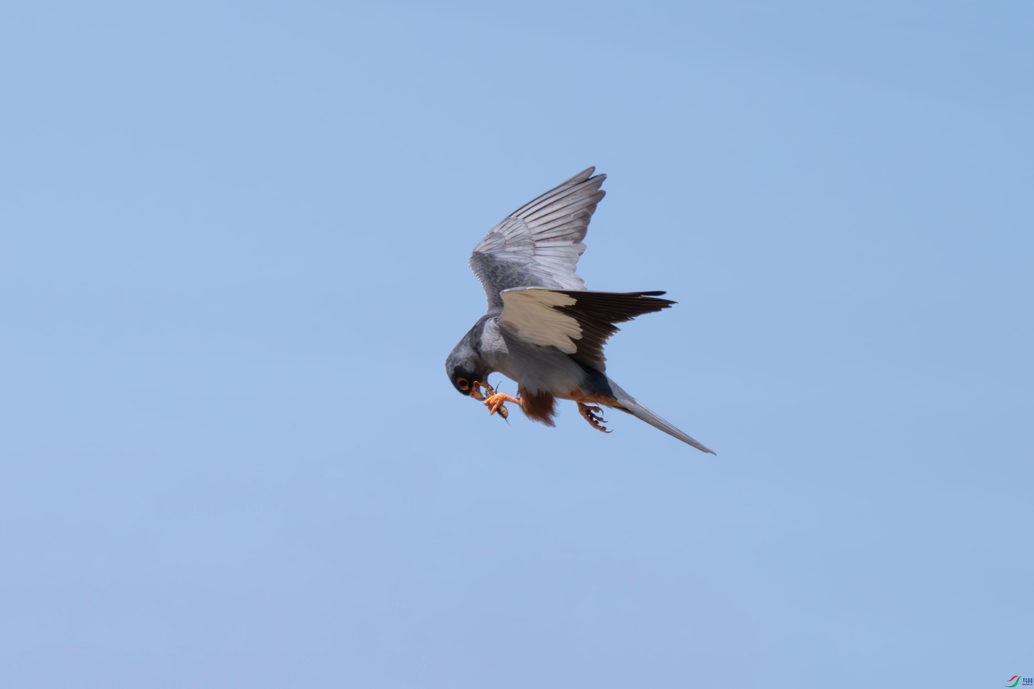 DSC_7164.jpg