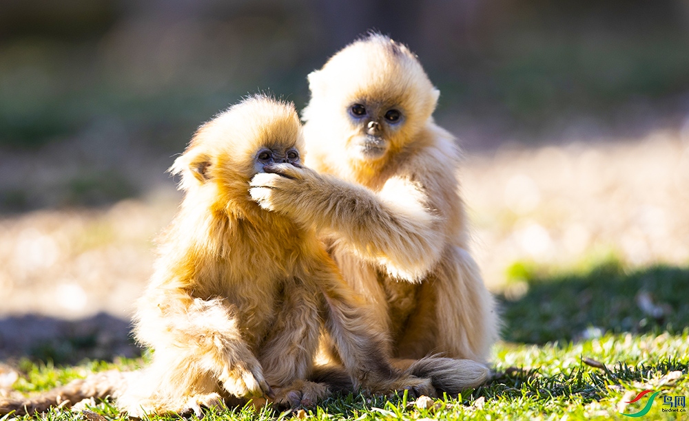 ��˿�� (5).jpg