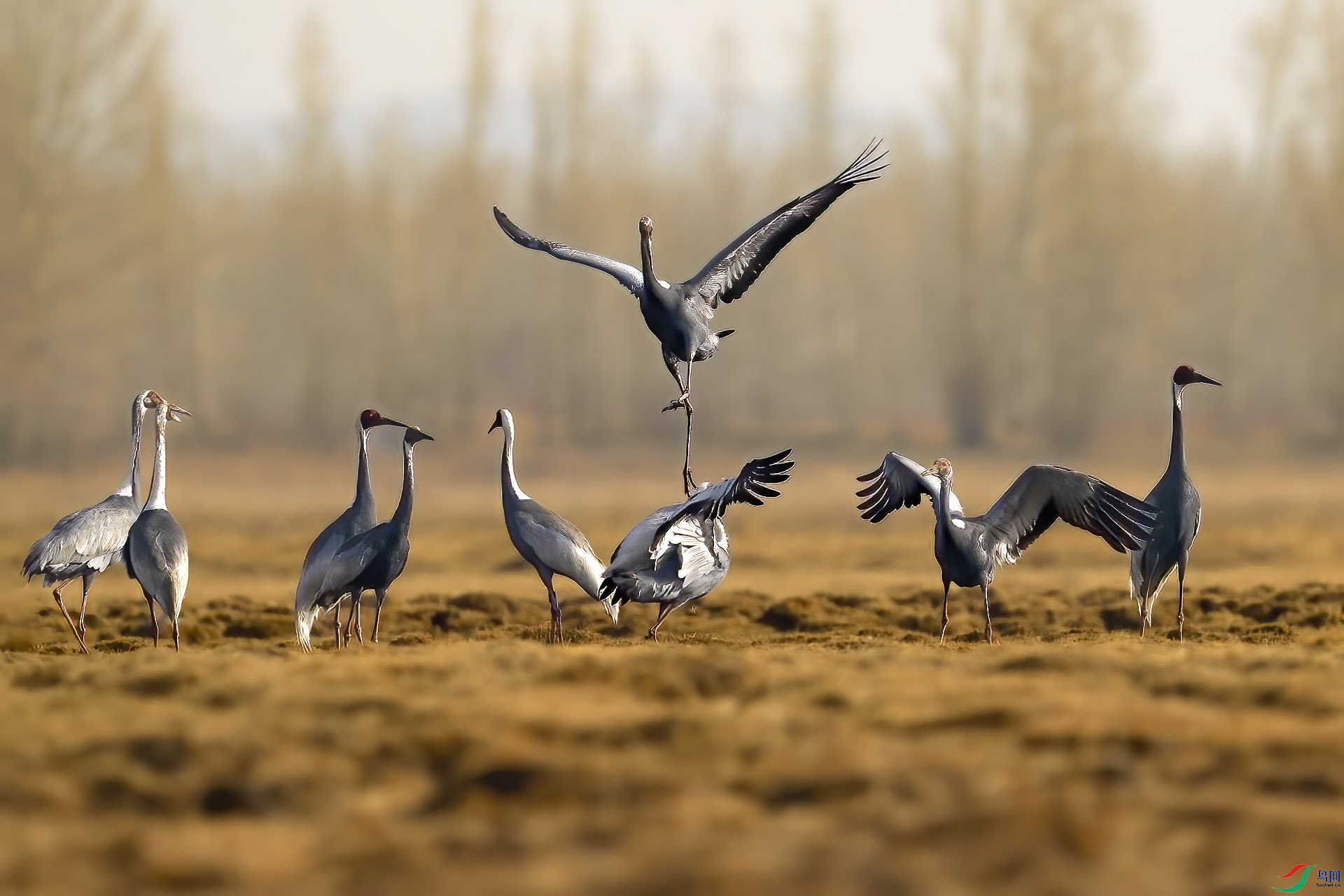 _DSC7401 - ����.jpg