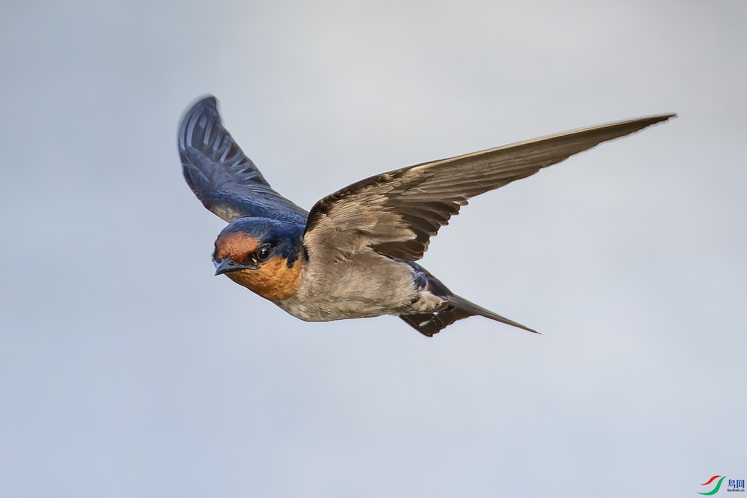 _97A4084-CR3 copy.jpg