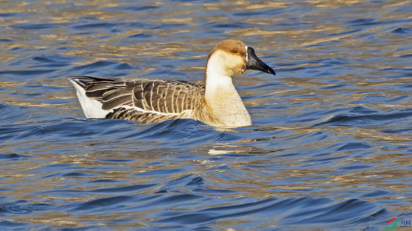 3U2A1610 ���� 2.jpg