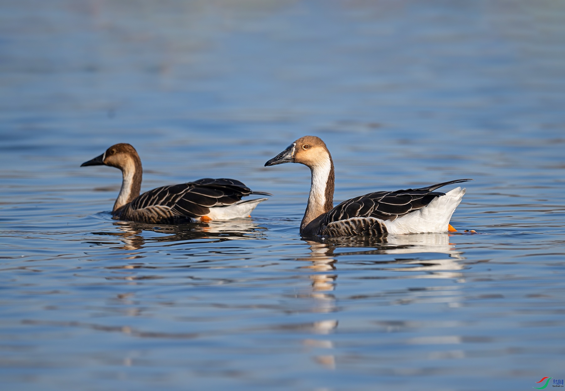 DSC_4625f.jpg