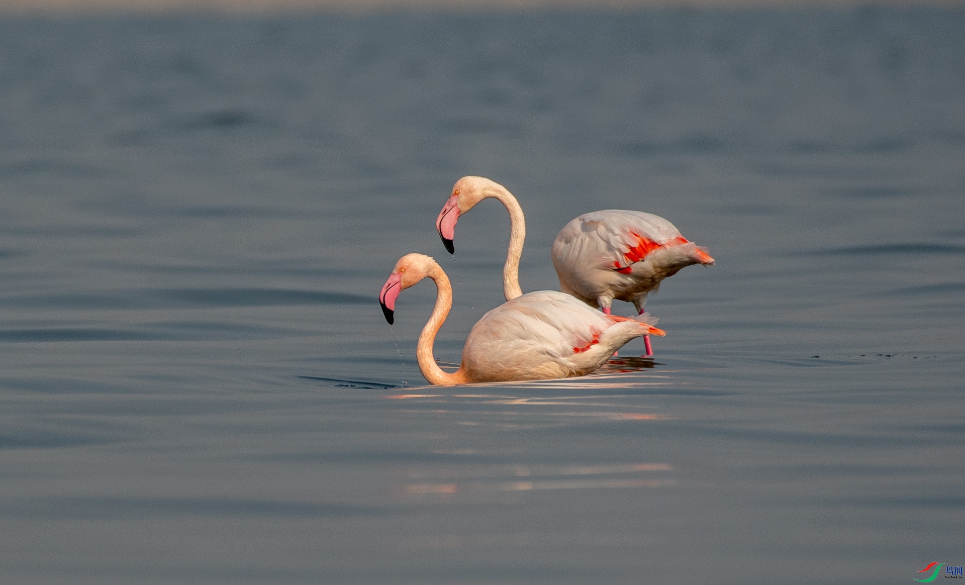 DSC_7642.jpg
