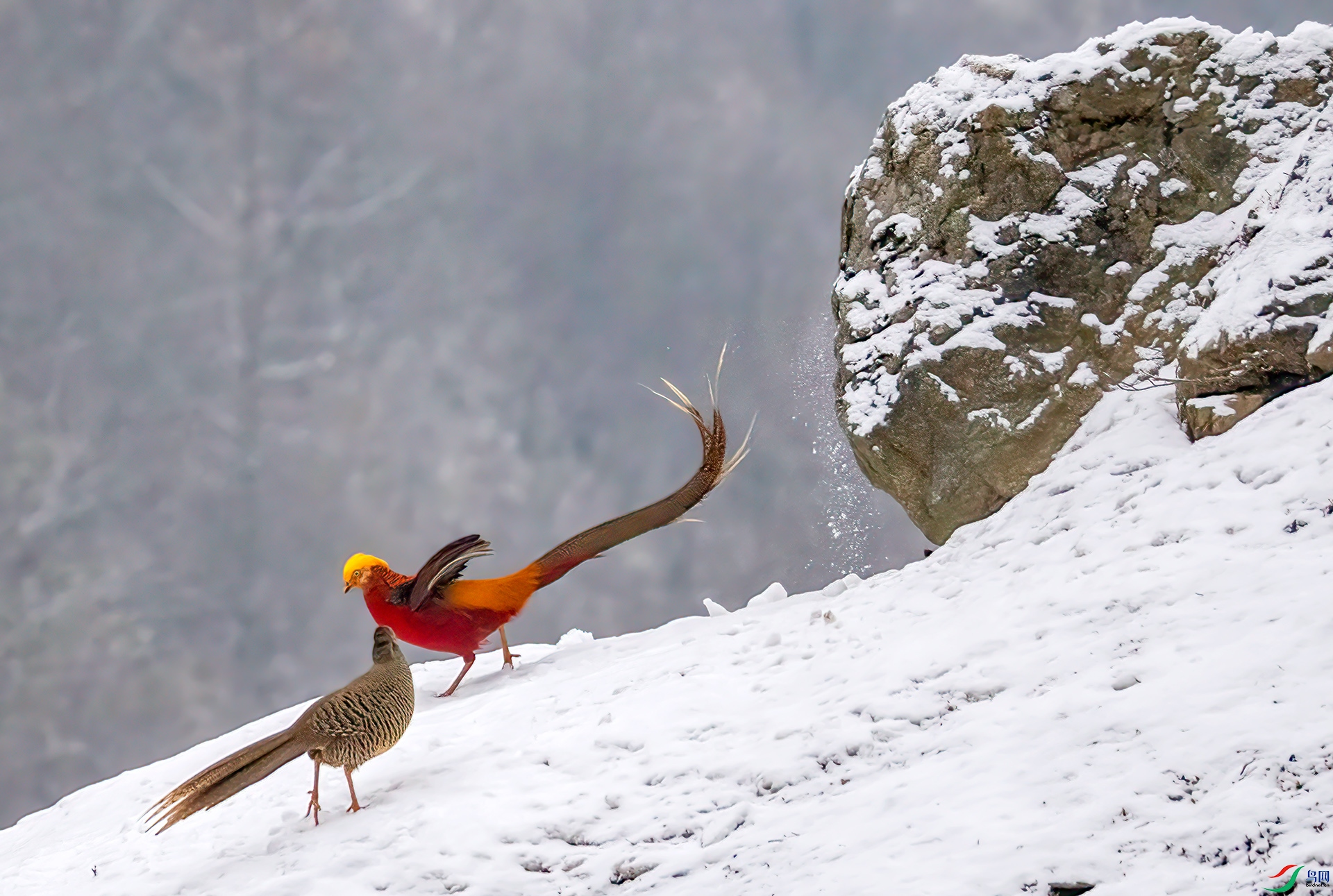 407A5980 ����-Sh---1 .jpg