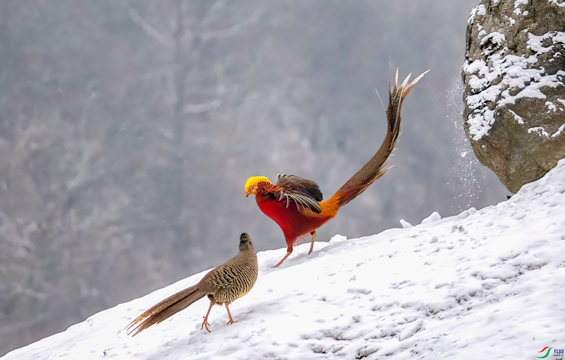 407A5979 ����-Sh---1 .jpg