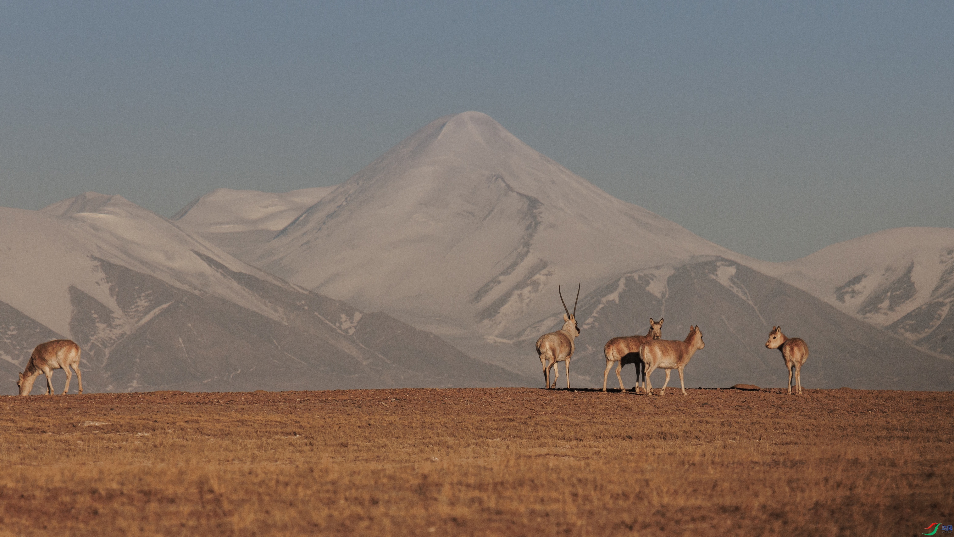 7X5A2974 ��44444.jpg