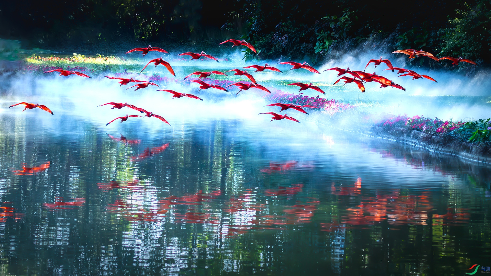 20241209���q��ɣ����⣩ ����.jpg