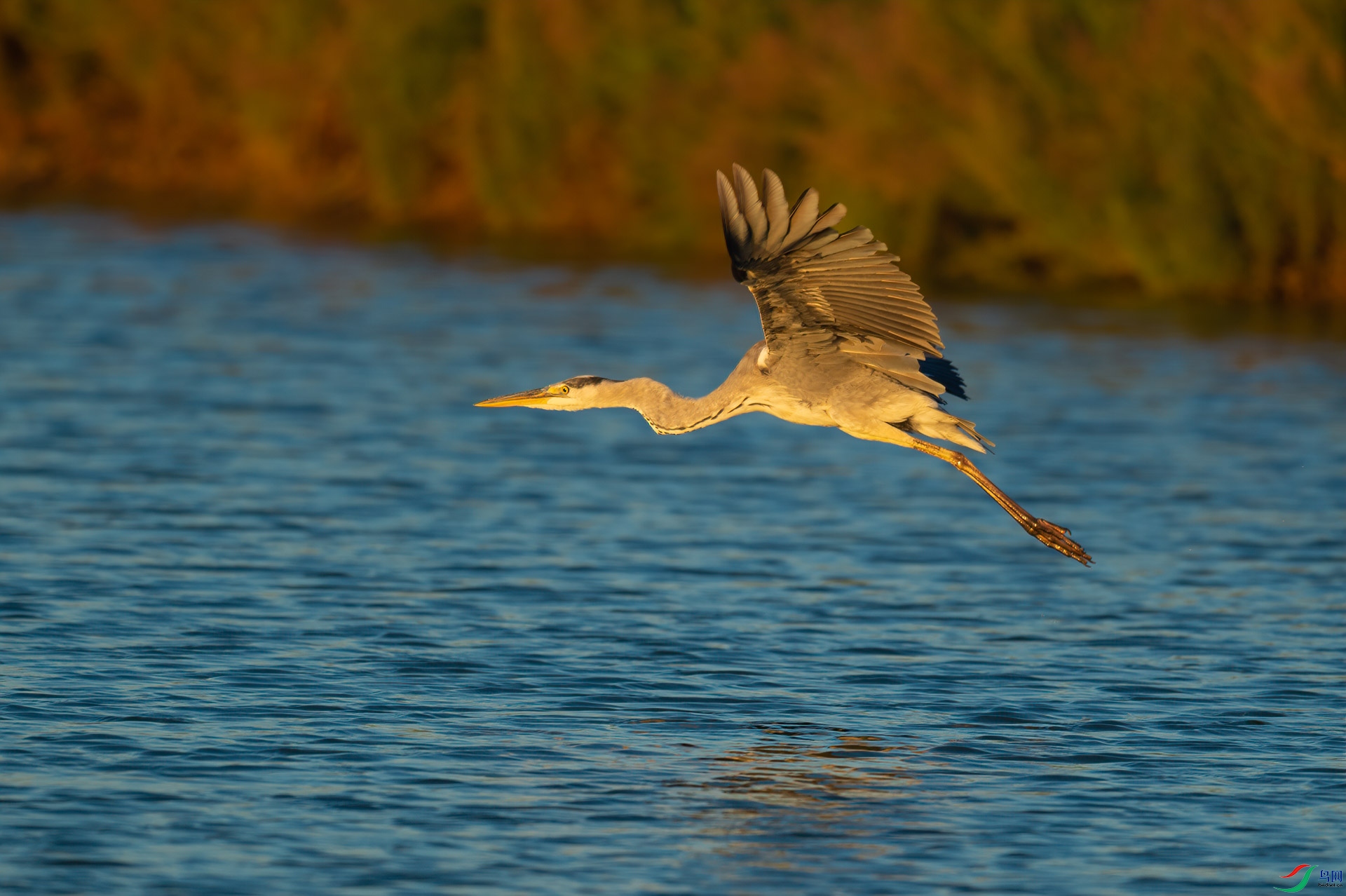 sen2016 8-28-5-�༭.jpg