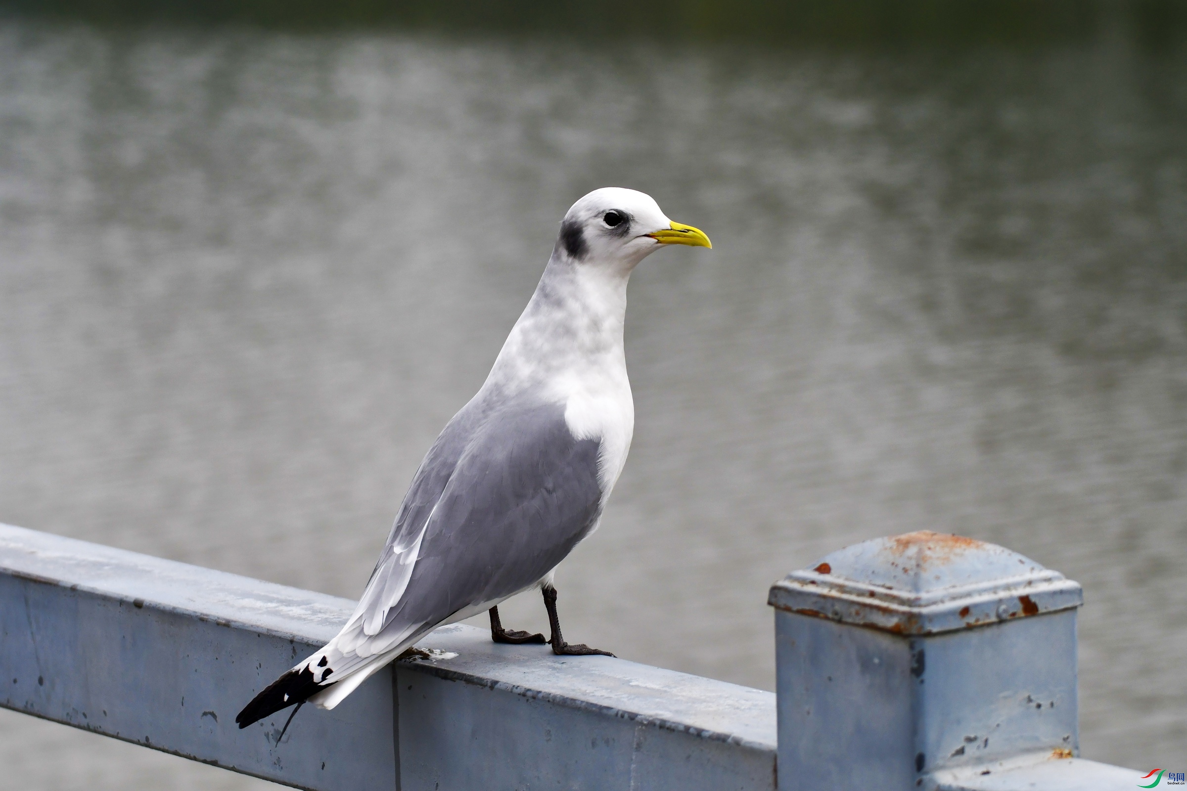 DSC_5649 ����.jpg