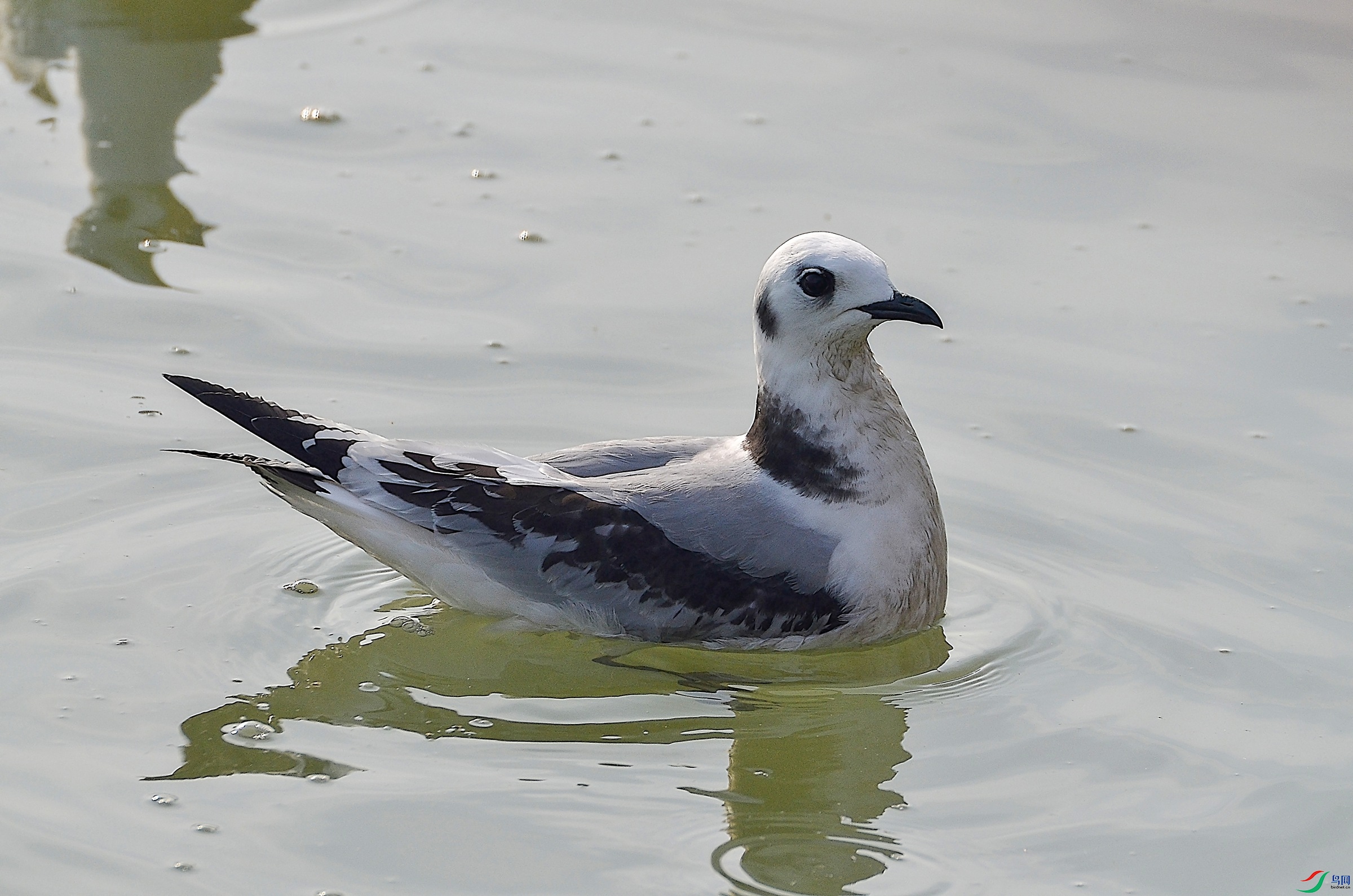 DSC_3594 ����.jpg