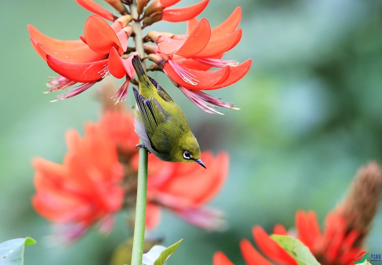 ���� IMGL2210.JPG