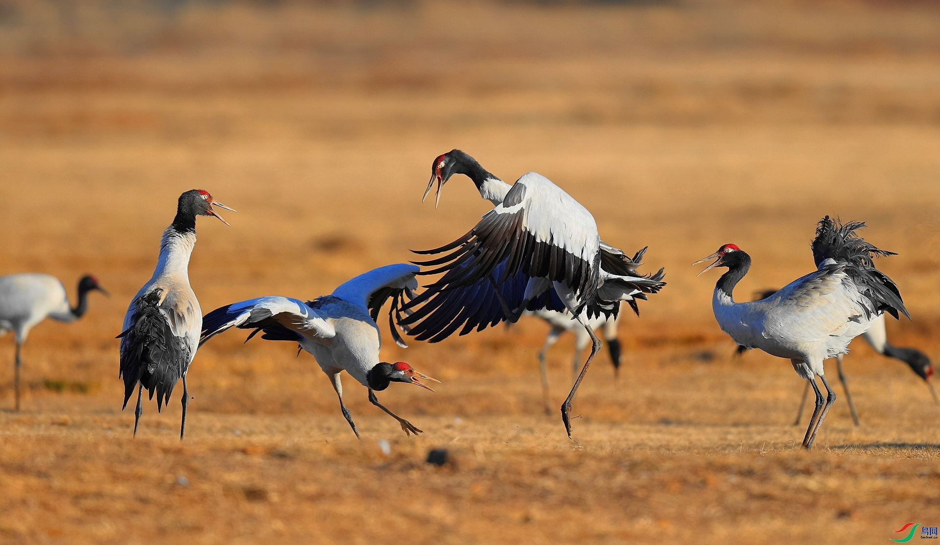 �ھ��� ����  ���� ��һ.jpg