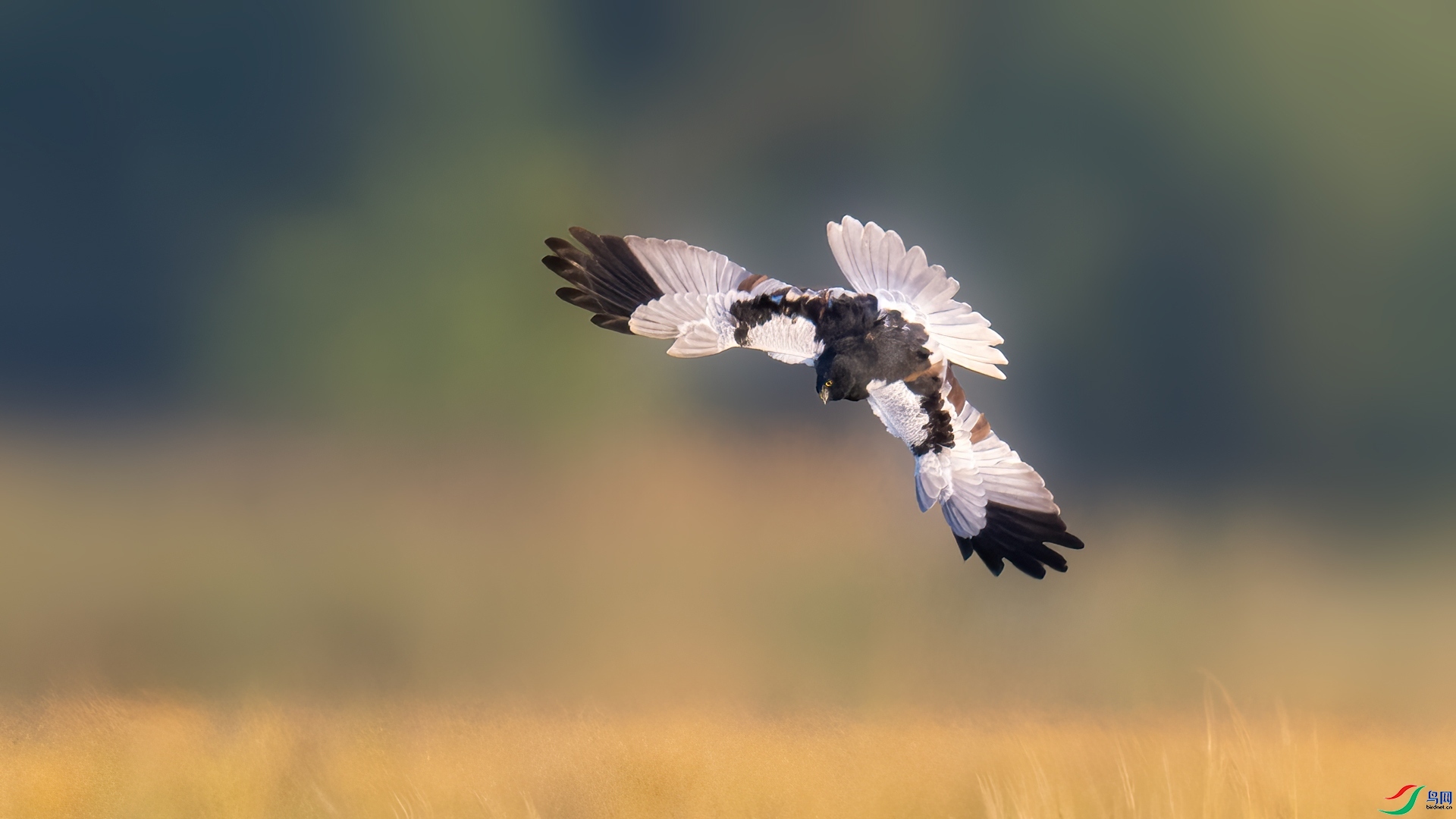 ���� ���� ���� ��һ.jpg