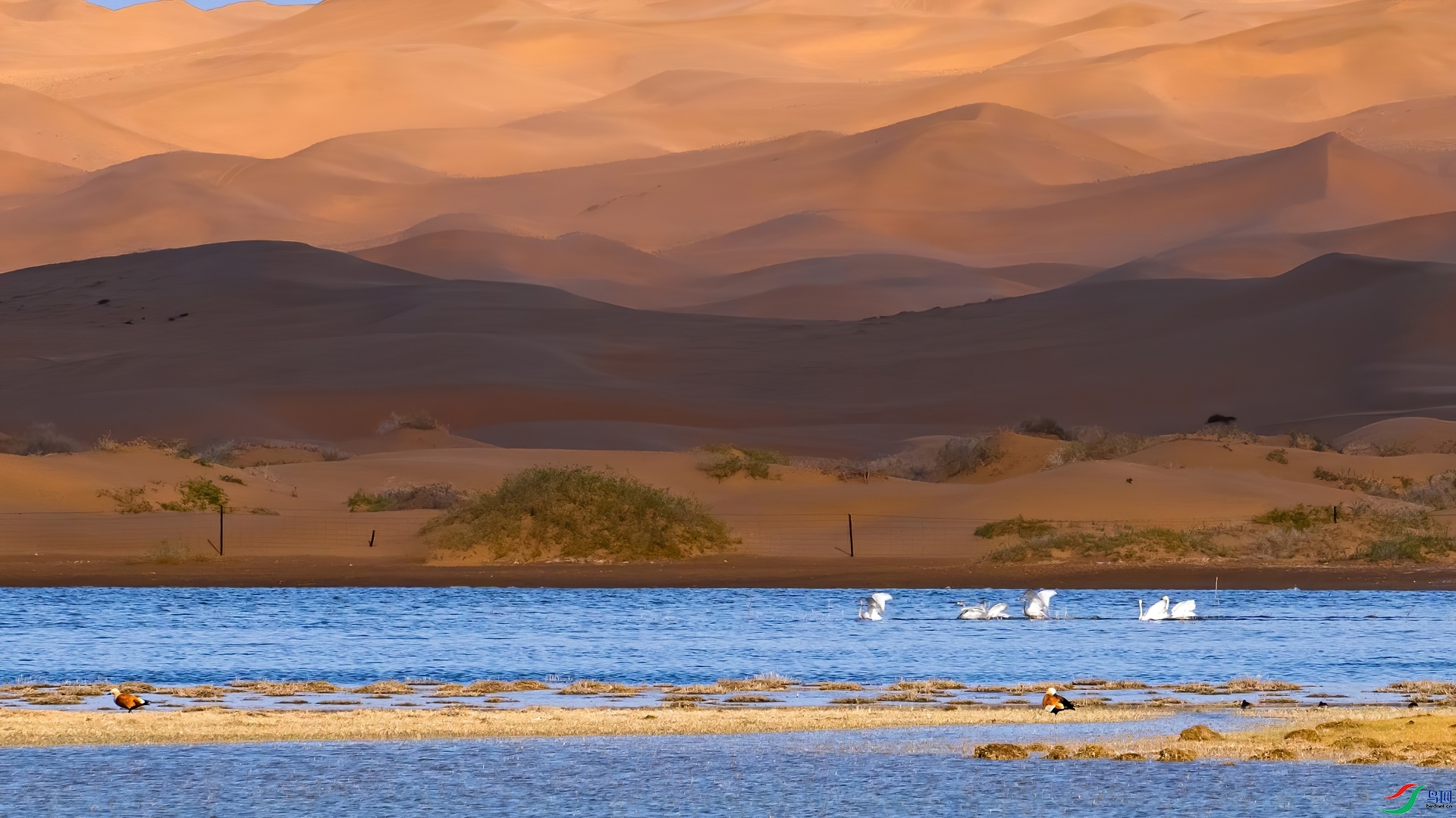 �����ϻ���ɽ ���� �ܶ�.jpg