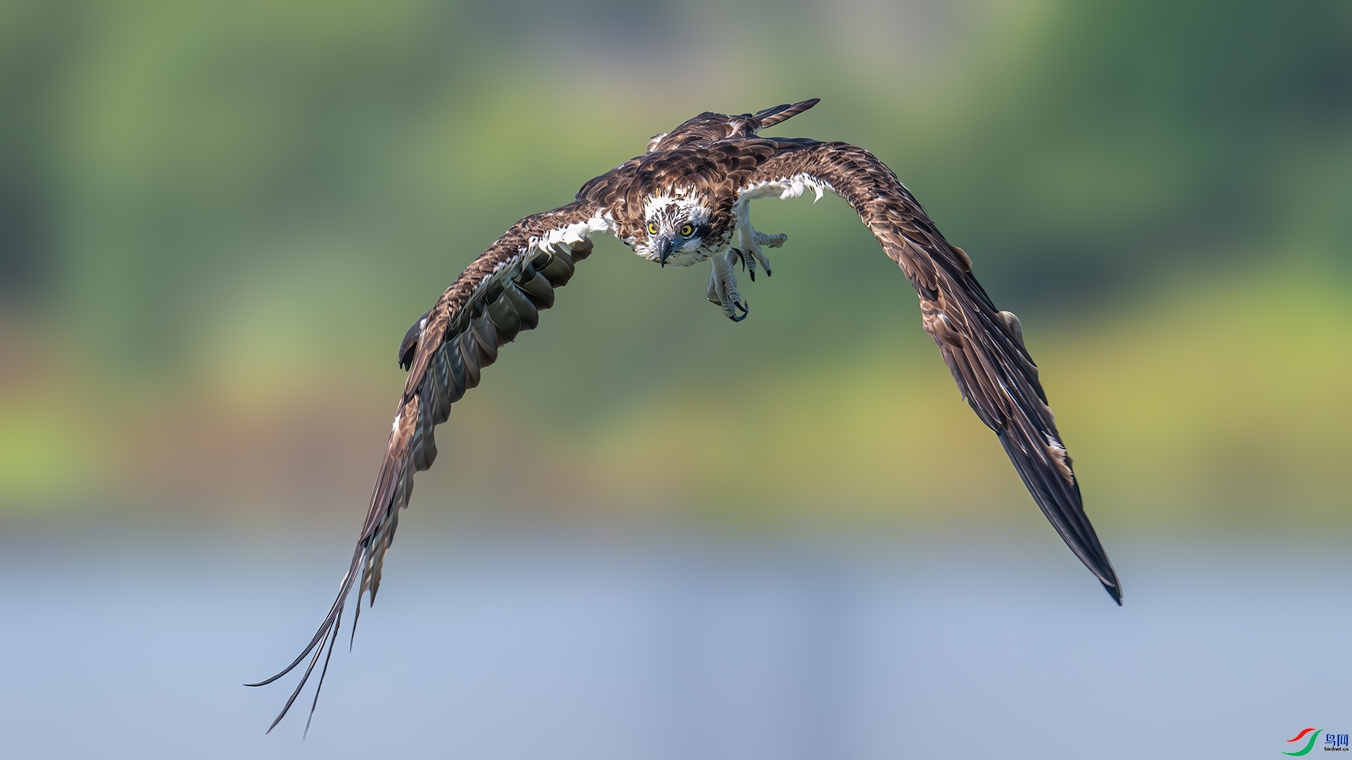 ����ӭ����� ���� ��ѧ�� �ܶ�.jpg