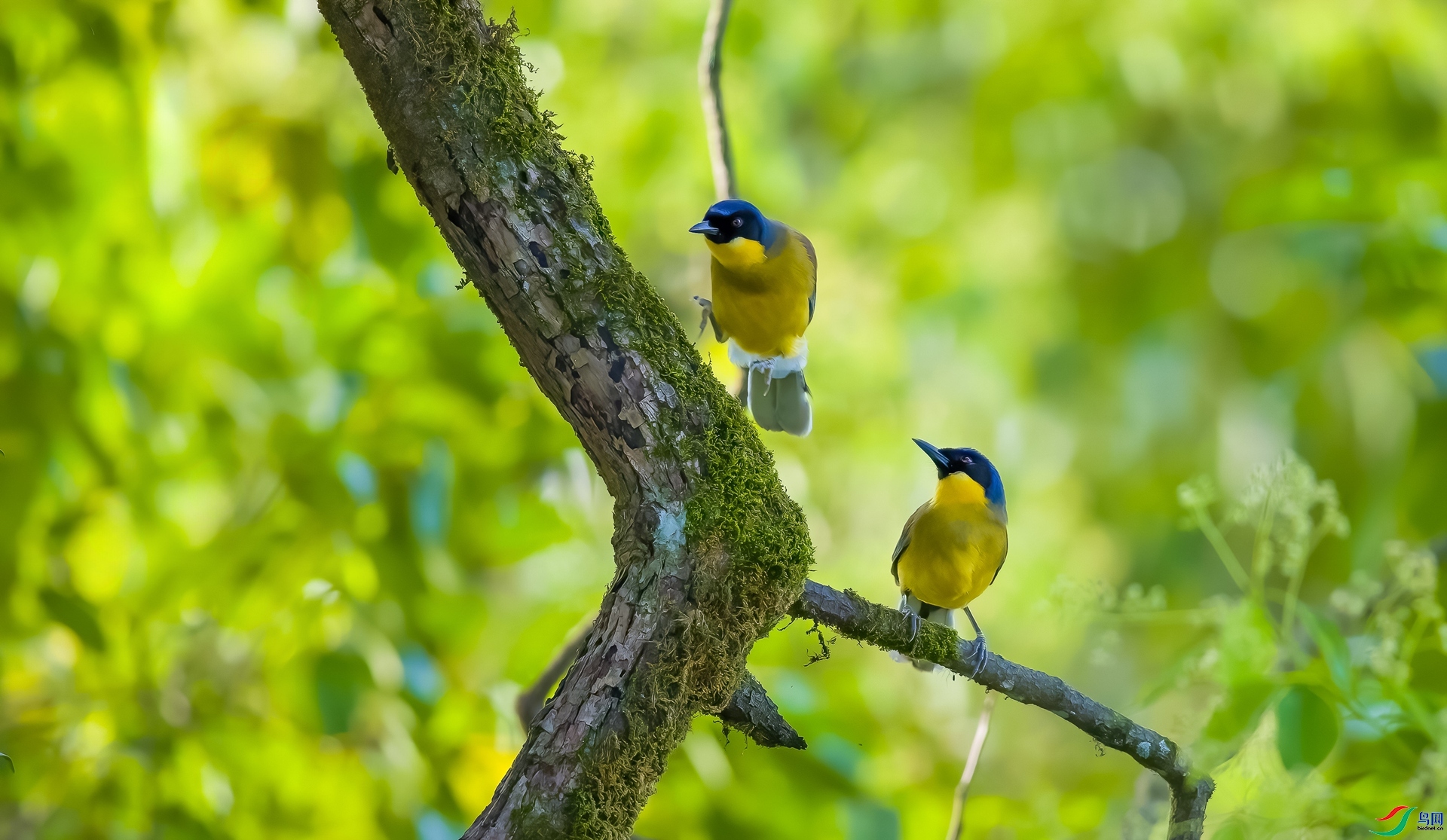 ��������  ���� ���� ����.jpg