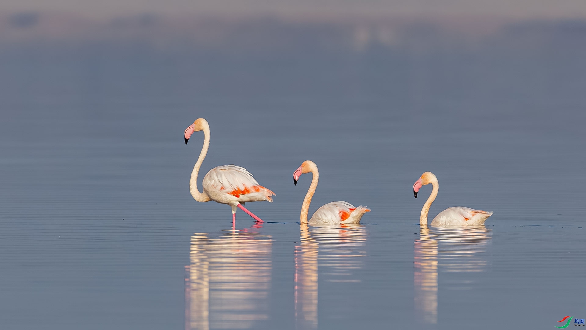 �ػع��� ���� ɳ���Խ� ����.jpg