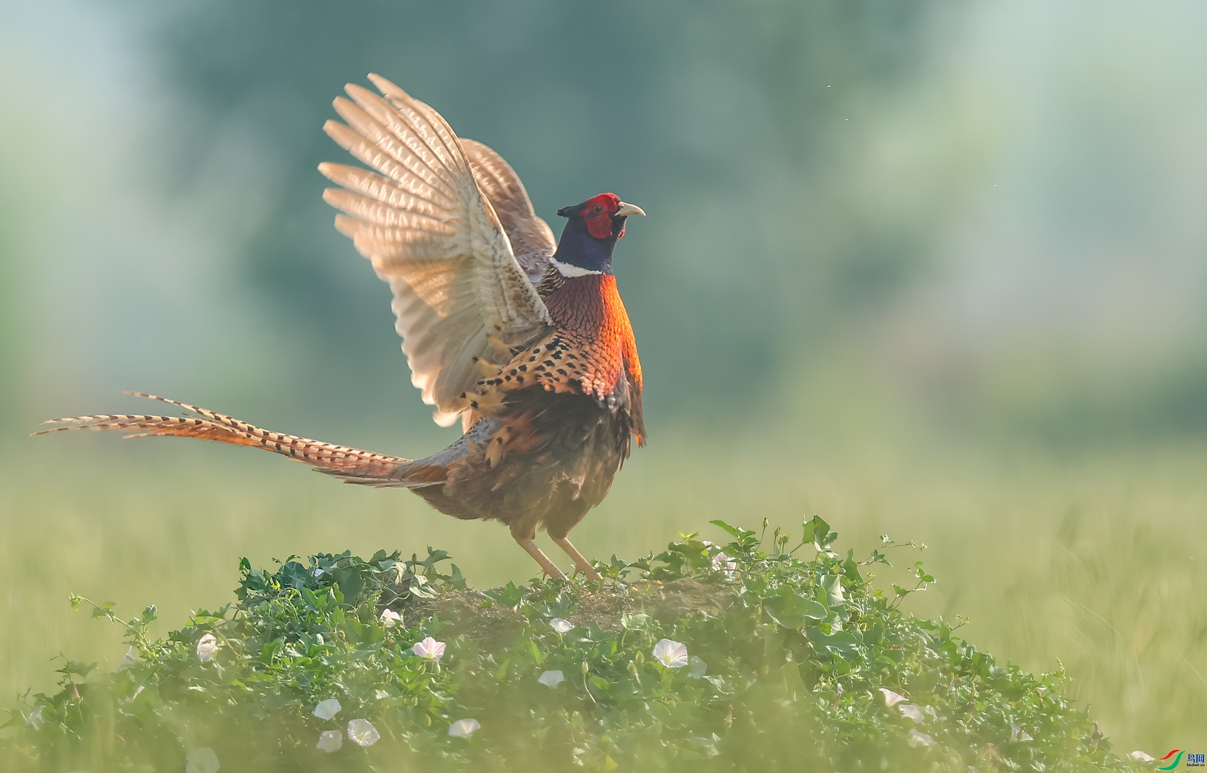 �󹫼����  ���� һ·���� ����.jpg